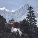 林芝旅游 缩略图 5