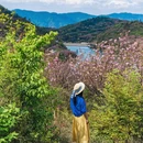 宁波旅游 缩略图 5