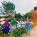 深圳旅游 缩略图 8
