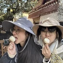拉萨旅游 缩略图 13