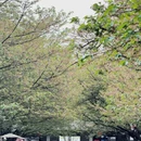 无锡旅游 缩略图 2