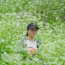 南京旅游 缩略图 5