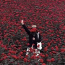 成都旅游 缩略图 10