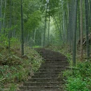 南京旅游 缩略图 17