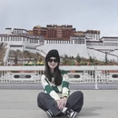 拉萨旅游 缩略图 2