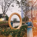 深圳旅游 缩略图 9