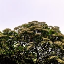 扬州旅游 缩略图 8