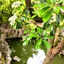 扬州旅游 缩略图 6