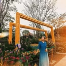 深圳旅游 缩略图 10