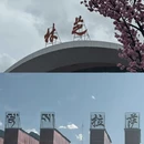 拉萨旅游 缩略图 17
