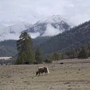 林芝旅游 缩略图 14