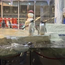 湖州旅游 缩略图 8