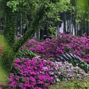无锡旅游 缩略图 8
