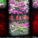 无锡旅游 缩略图 18