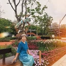深圳旅游 缩略图 6