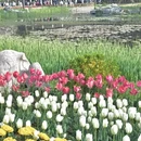 北京旅游 缩略图 6
