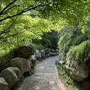 洛阳旅游 缩略图 14