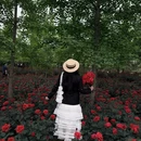成都旅游 缩略图 14