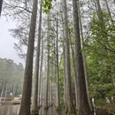 信阳旅游 缩略图 9