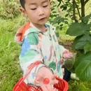 宁波旅游 缩略图 4