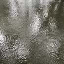 杭州旅游 缩略图 5