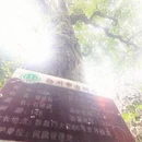 扬州旅游 缩略图 9