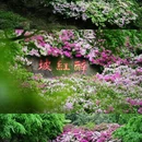 无锡旅游 缩略图 1
