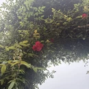 武汉旅游 缩略图 3