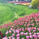 北京旅游 缩略图 2