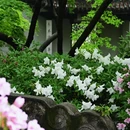 无锡旅游 缩略图 15