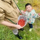 宁波旅游 缩略图 5