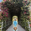深圳旅游 缩略图 16