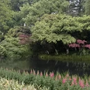 杭州旅游 缩略图 10