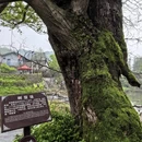 信阳旅游 缩略图 15