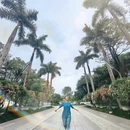 深圳旅游 缩略图 11