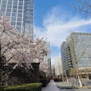 青岛旅游 缩略图 4