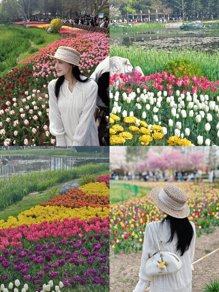 北京旅游