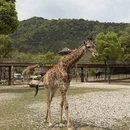 湖州旅游 缩略图 6