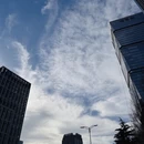 青岛旅游 缩略图 5