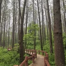 信阳旅游 缩略图 8