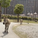 湖州旅游 缩略图 7