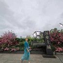 深圳旅游 缩略图 7