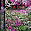 无锡旅游 缩略图 2