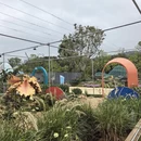 深圳旅游 缩略图 18