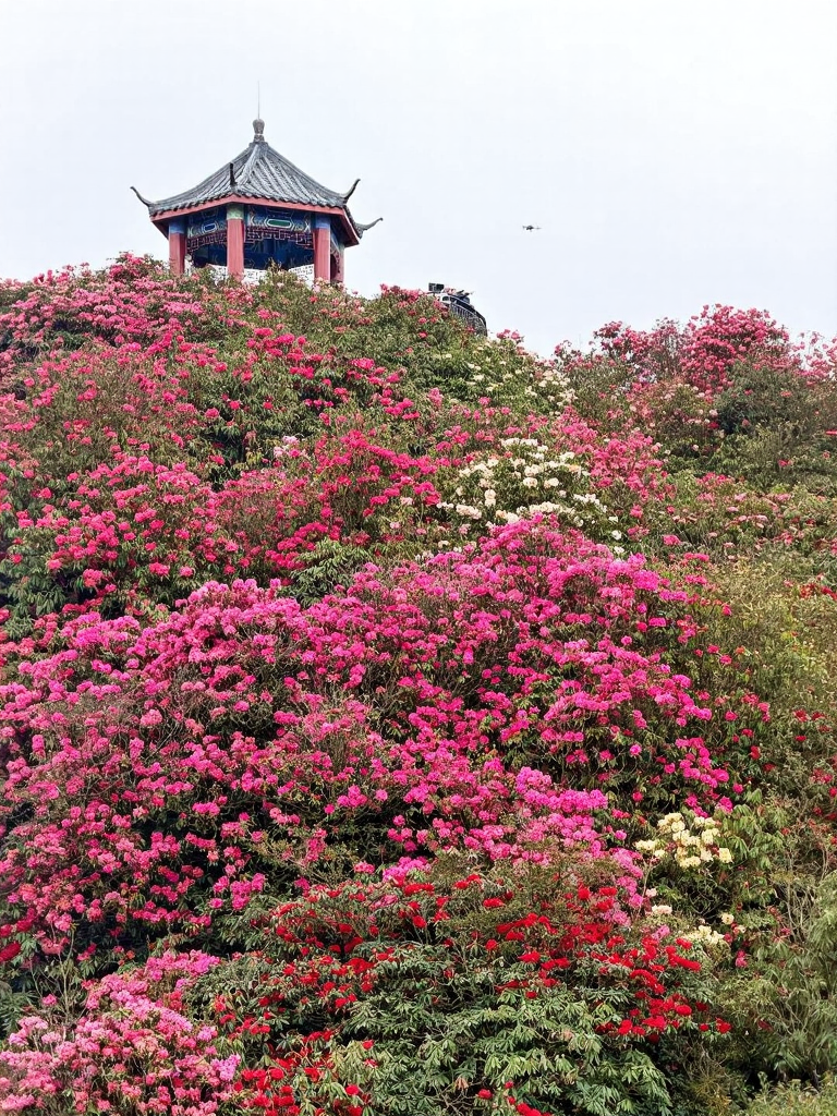 贵阳旅游