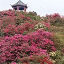 贵阳旅游 缩略图 1