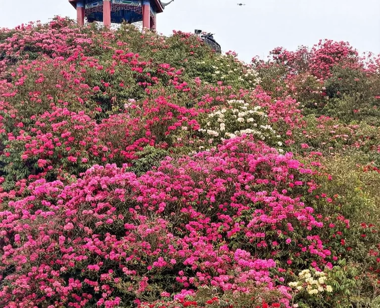 贵阳旅游 1
