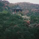 贵阳旅游 缩略图 1