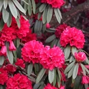 毕节旅游 缩略图 6