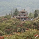 毕节旅游 缩略图 6